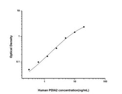 Novus Biologicals™ Human PDIA2 ELISA Kit (Colorimetric)